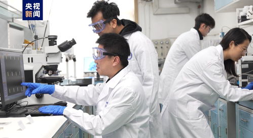 我國科研人員實現二維金屬碲化物材料宏量制備，助力材料科學規模化應用